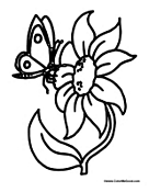 Butterfly on a Flower