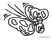 Angry Butterfly