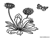 Butterfly and Dandelion