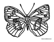 Butterfly Coloring Page 5