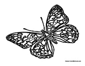 Butterfly Coloring Page 3