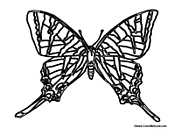 Butterfly Coloring Page 2