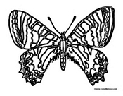 Butterfly Coloring Page 1