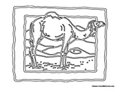 Camel in the Desert 2