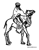 Man on Camel 3