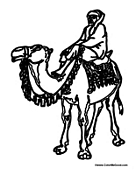 Man on Camel