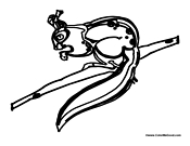 Chipmunk Nibbling Food