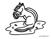 Chipmunk Nibbling Food