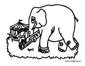 Circus Elephant Building