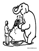 Circus Elephant Cleaning