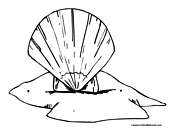 Clam Coloring Page 3