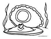 Clam Coloring Page 4