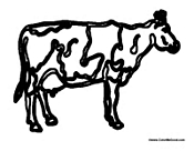 Adult Cow 3