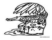 Crocodile in Habitat