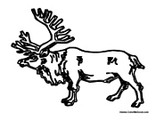 Adult Deer 3