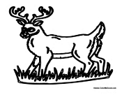 Adult Deer 4