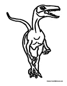 Velociraptor Walking
