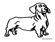 Dachshund Weiner Dog