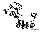 Poodle Dog