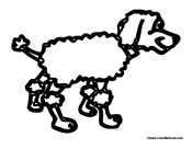 Poodle Dog
