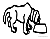 Dog Eating and Drinking