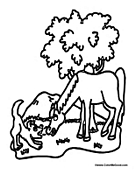 Horse and Dog Playing