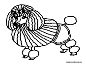 Poodle Dog