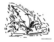 Dolphin with Lots of Water