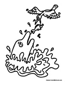 Dolphin and Bird Eating