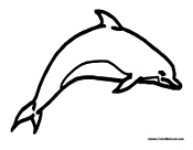 Dolphin Jumping Trick