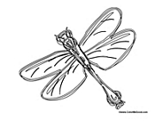 Dragonfly 2