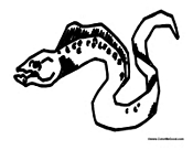 Scary Eel