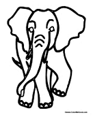 Large Elephant