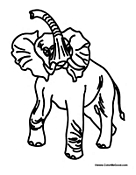 Elephant Making Noise