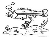 Fish Coloring Page 1