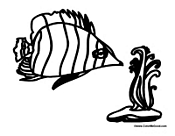 Fish Living in the Water