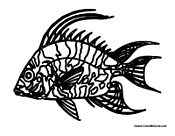 Beautiful Color Fish