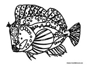 Fish with Lots of Spots