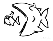 Big Fish and Little Fish