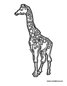 Adult Giraffe 2