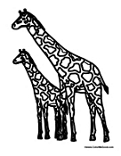 Adult Giraffe and Baby