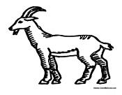 Goat Walking