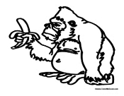Gorilla Holding Banana