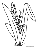 Grasshopper Coloring Page 4