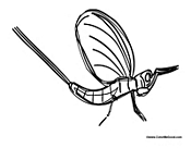 Hornet with Stinger