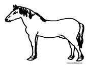 Horse Coloring Sheet