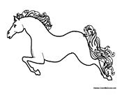 Horse Leaping