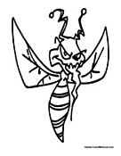 Mosquito Insect