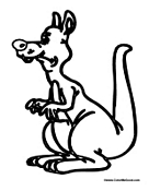 Funny Kangaroo
