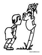 Girl Looking at Koala